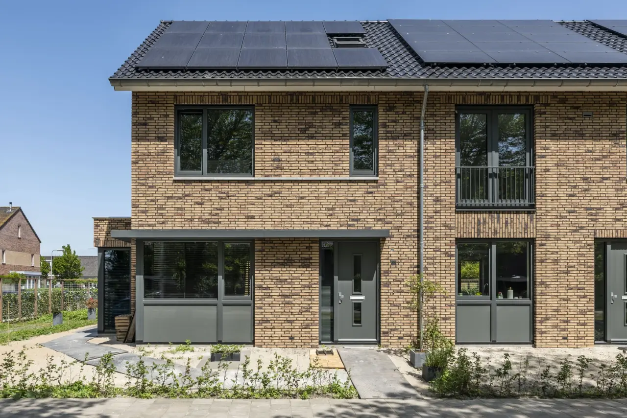 C Plataan  Berkenwoude 4552