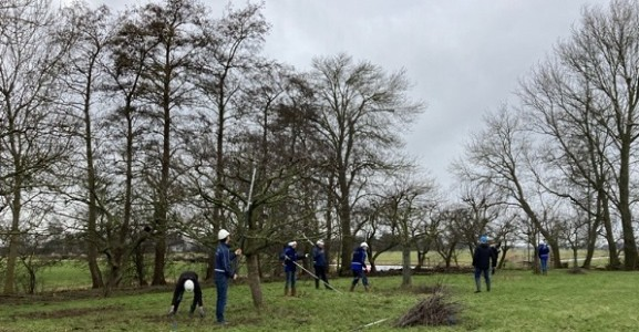 Cursus+fruitbomen+snoeien