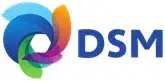Dsm logo onze klanten devriesverburg