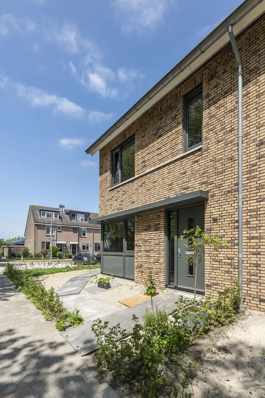 F Plataan  Berkenwoude 4561