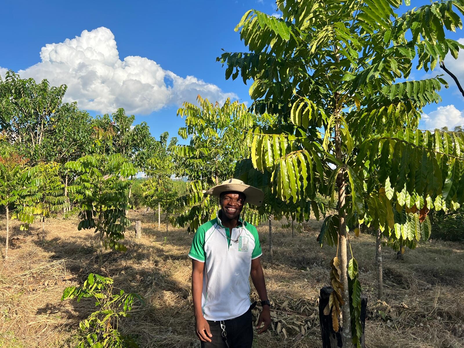 Herbebossingsproject Milange Mozambique