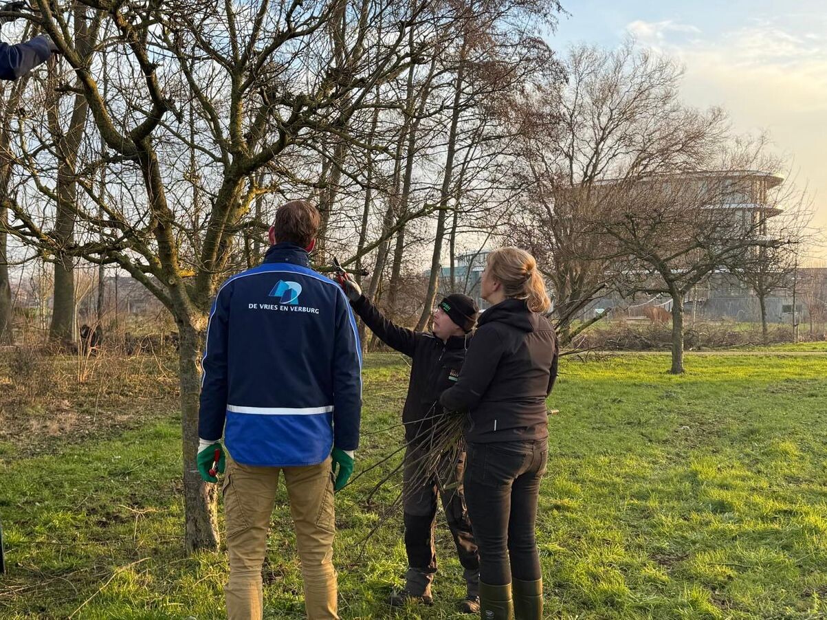 Jaarlijkse bomensnoeidag Parel in de Polder 1 (2)