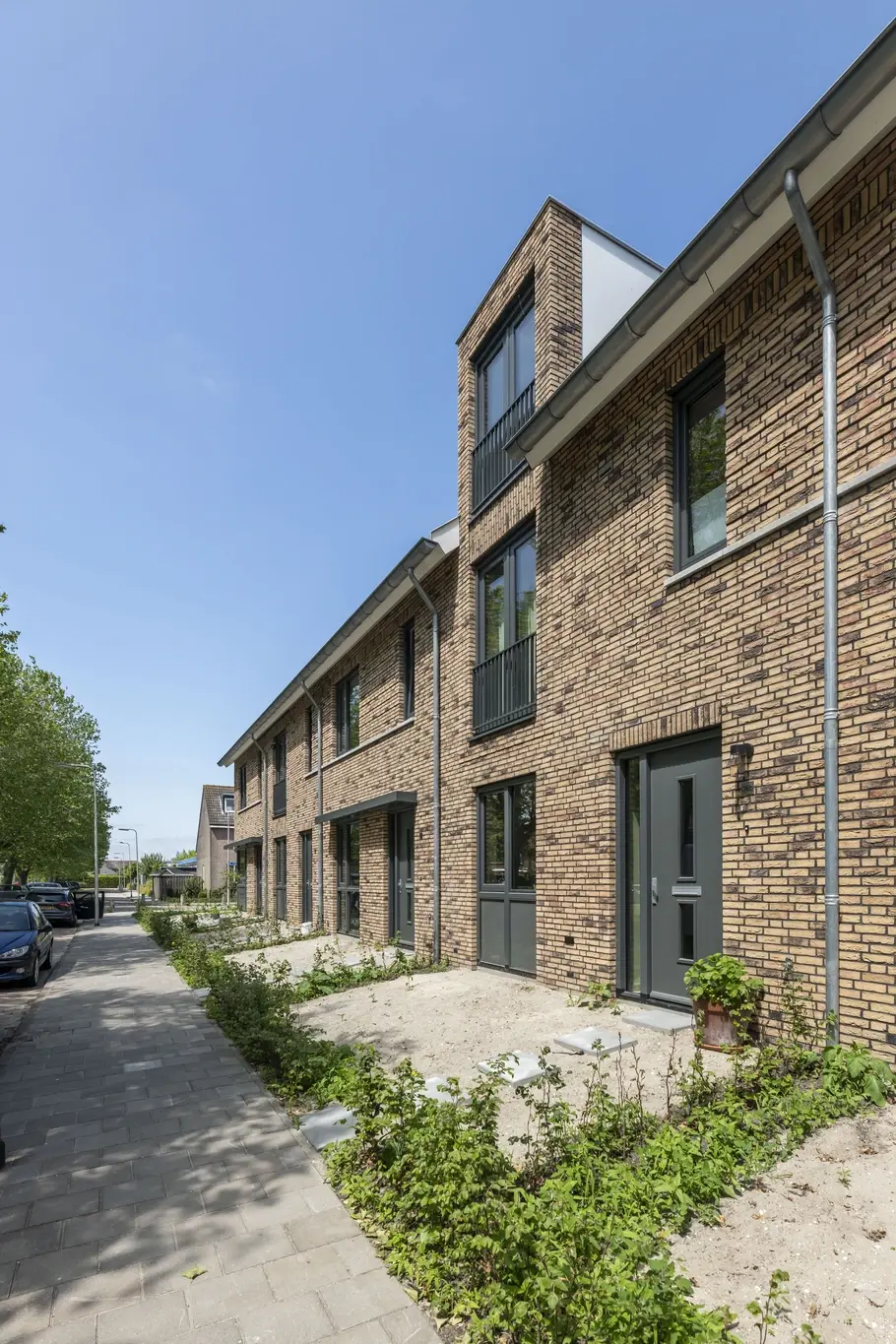 O Plataan  Berkenwoude 4601