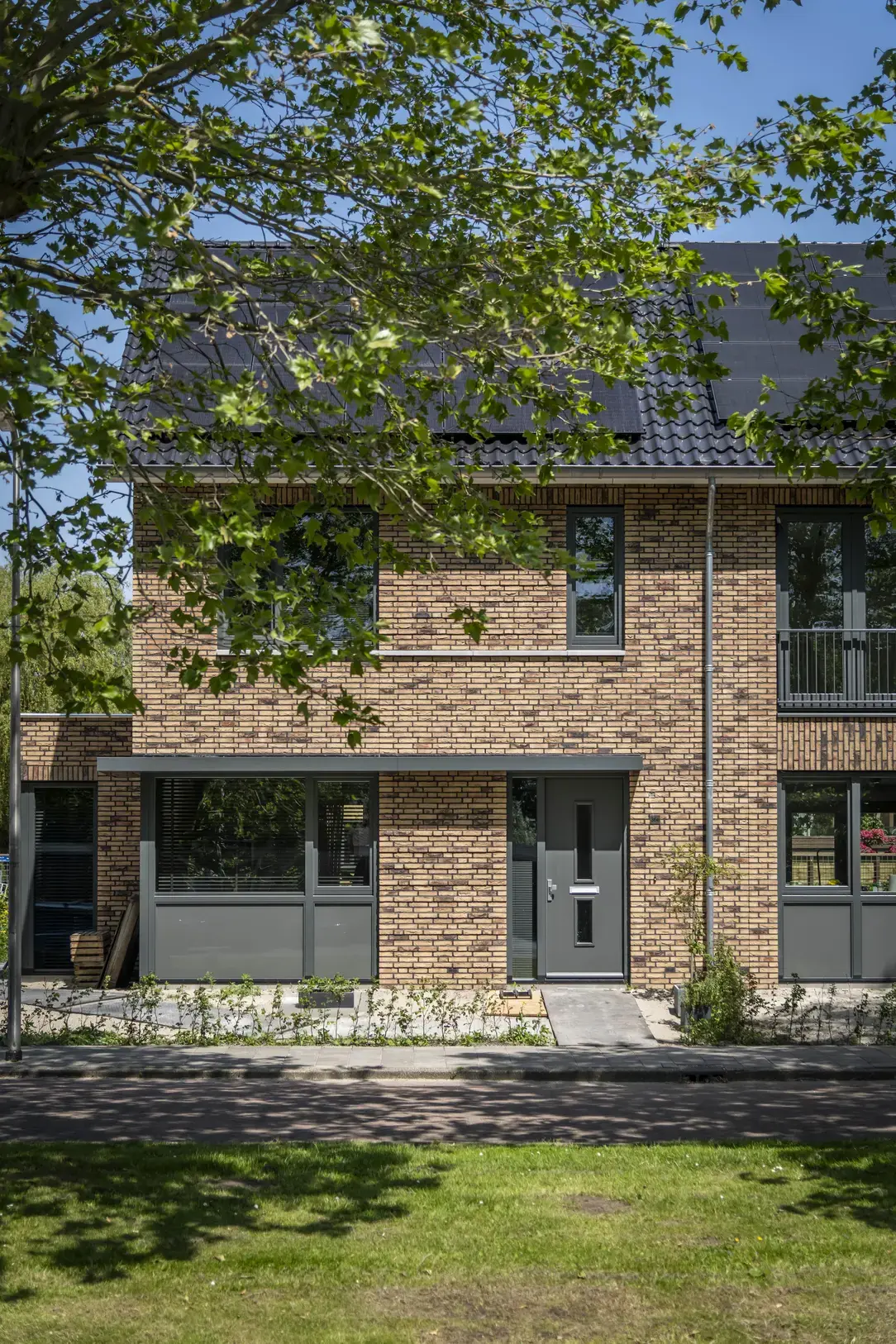X Plataan  Berkenwoude 4632