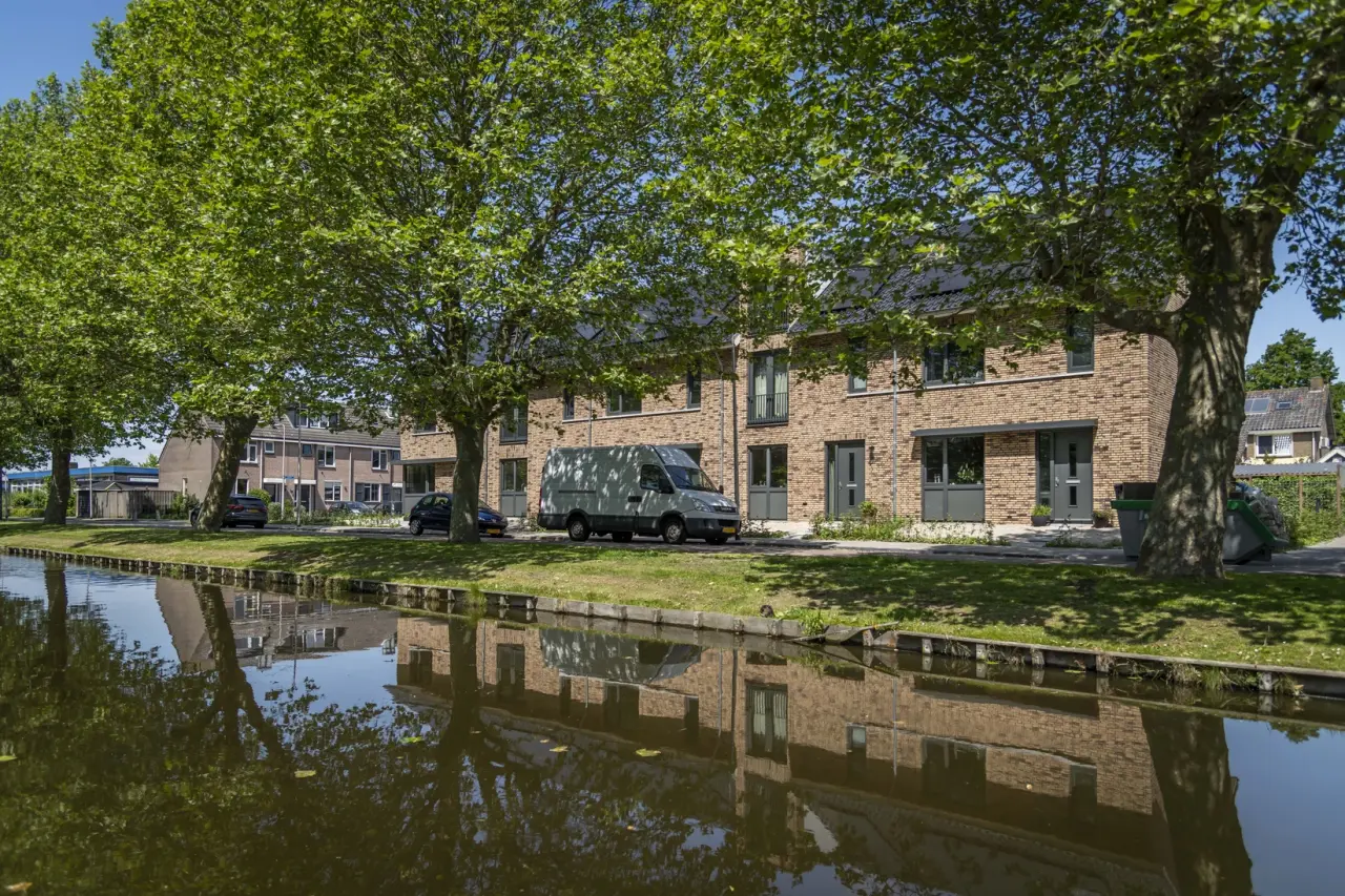 Zb Plataan  Berkenwoude 4644