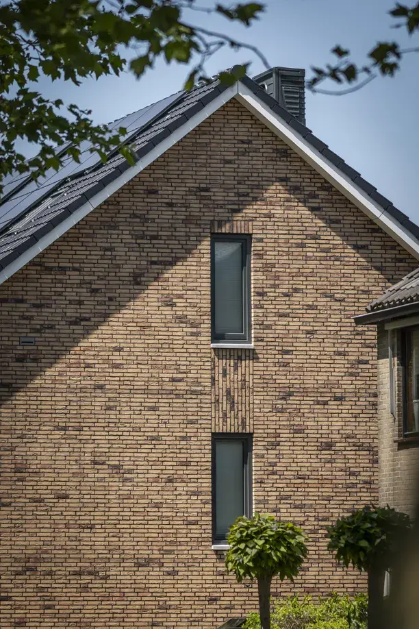Zc Plataan  Berkenwoude 4646