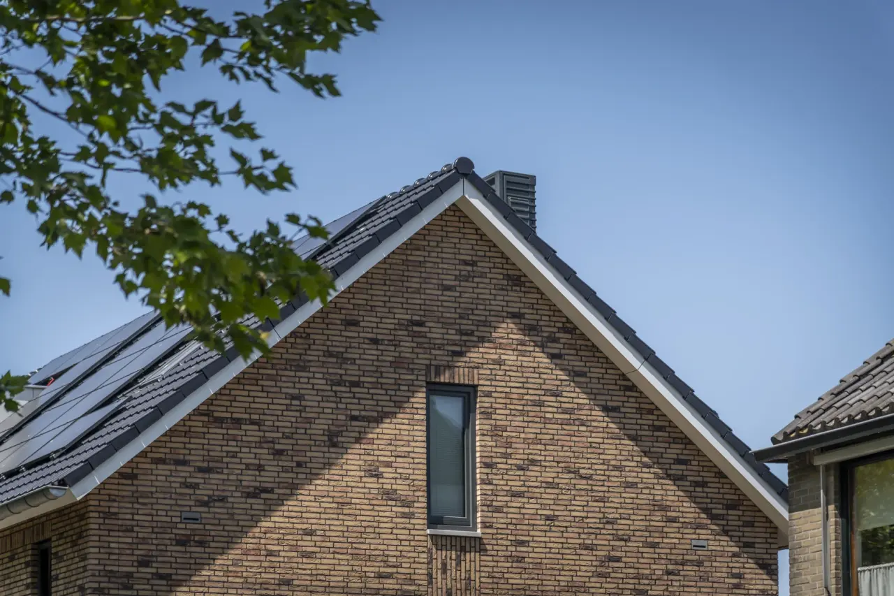 Zd Plataan  Berkenwoude 4648