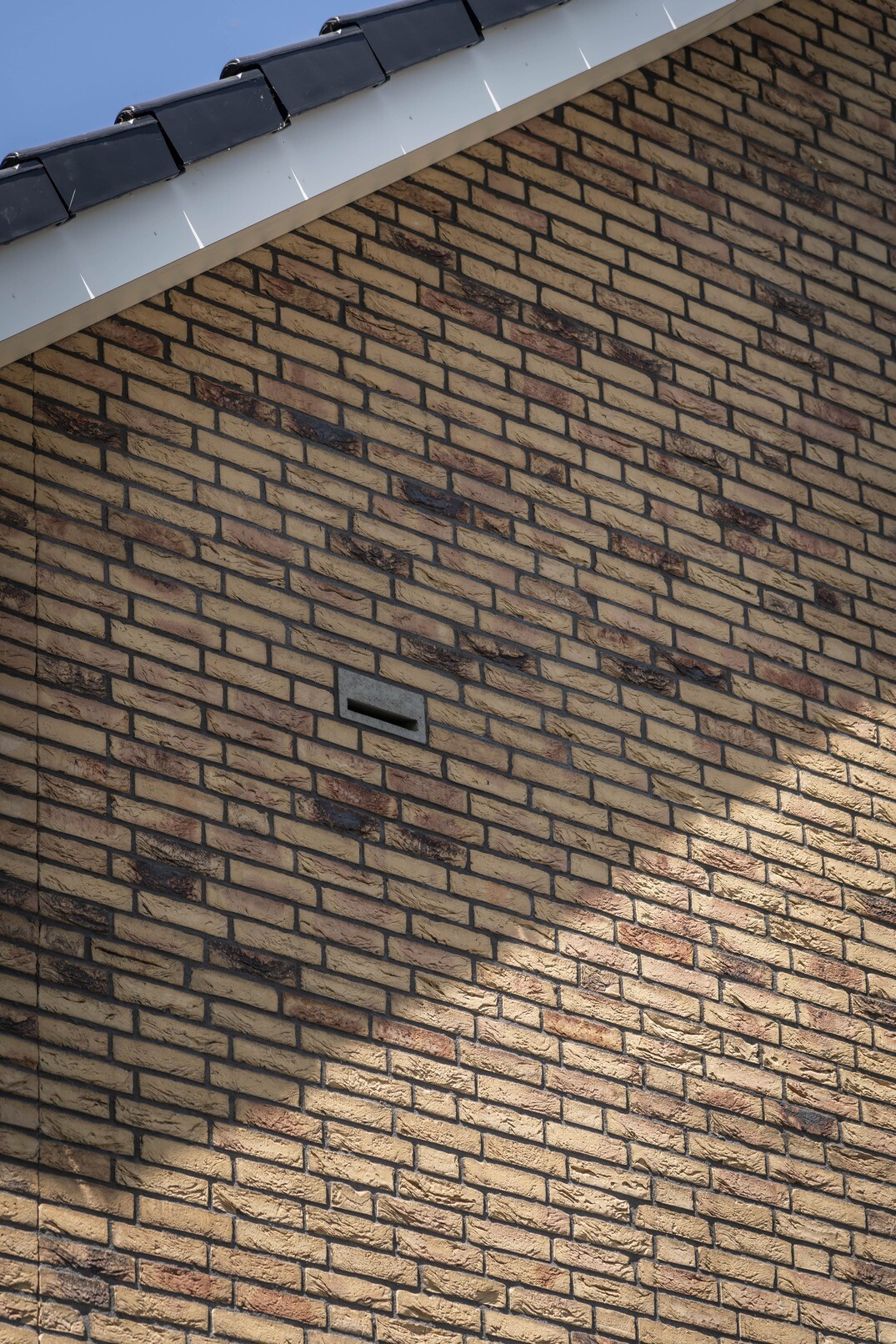 Zf Plataan  Berkenwoude 4658