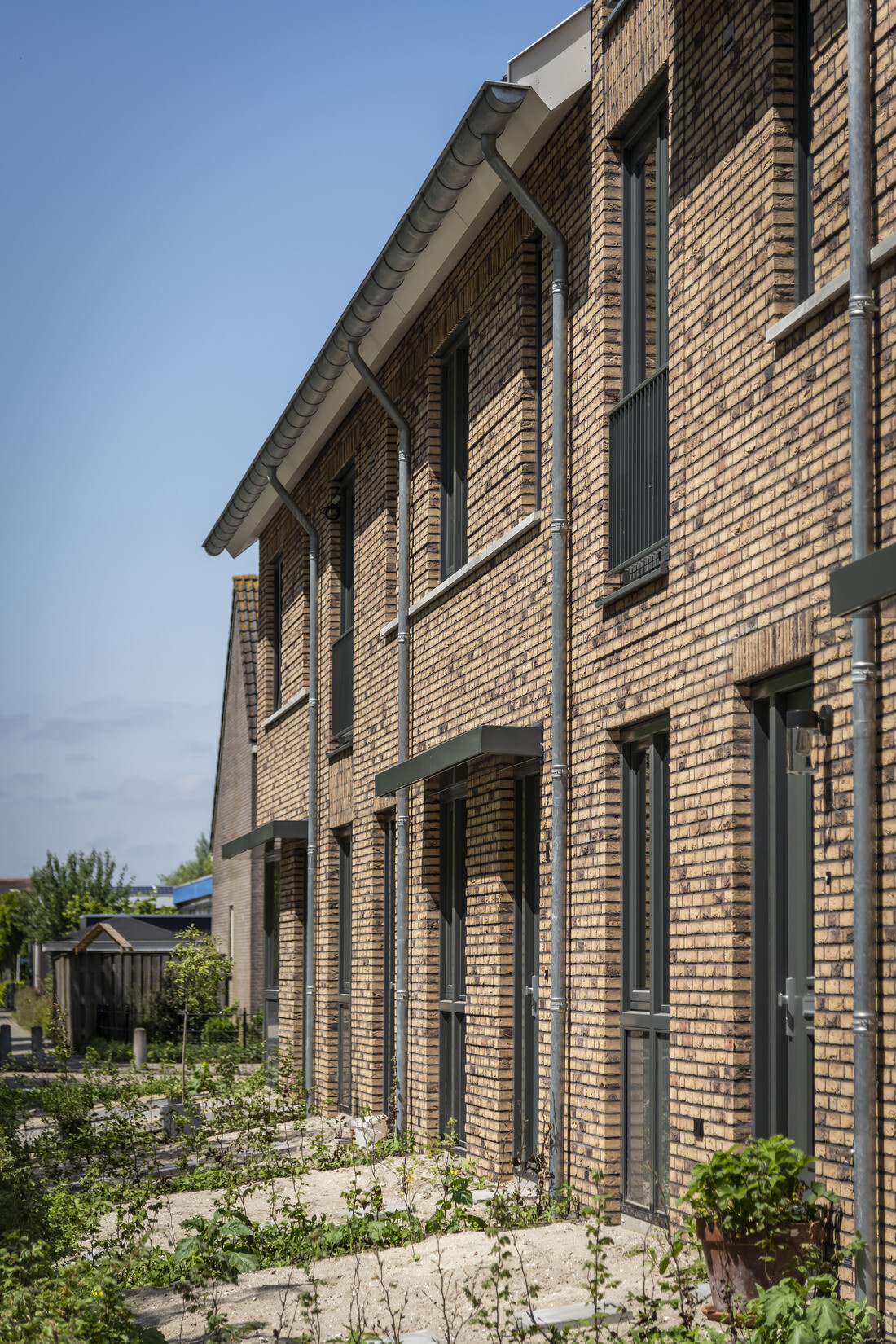 Zh Plataan  Berkenwoude 4663