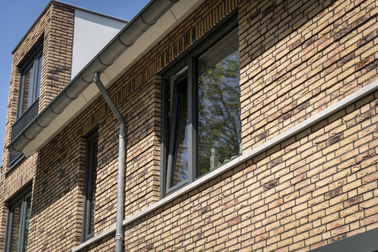 Zj Plataan  Berkenwoude 4667