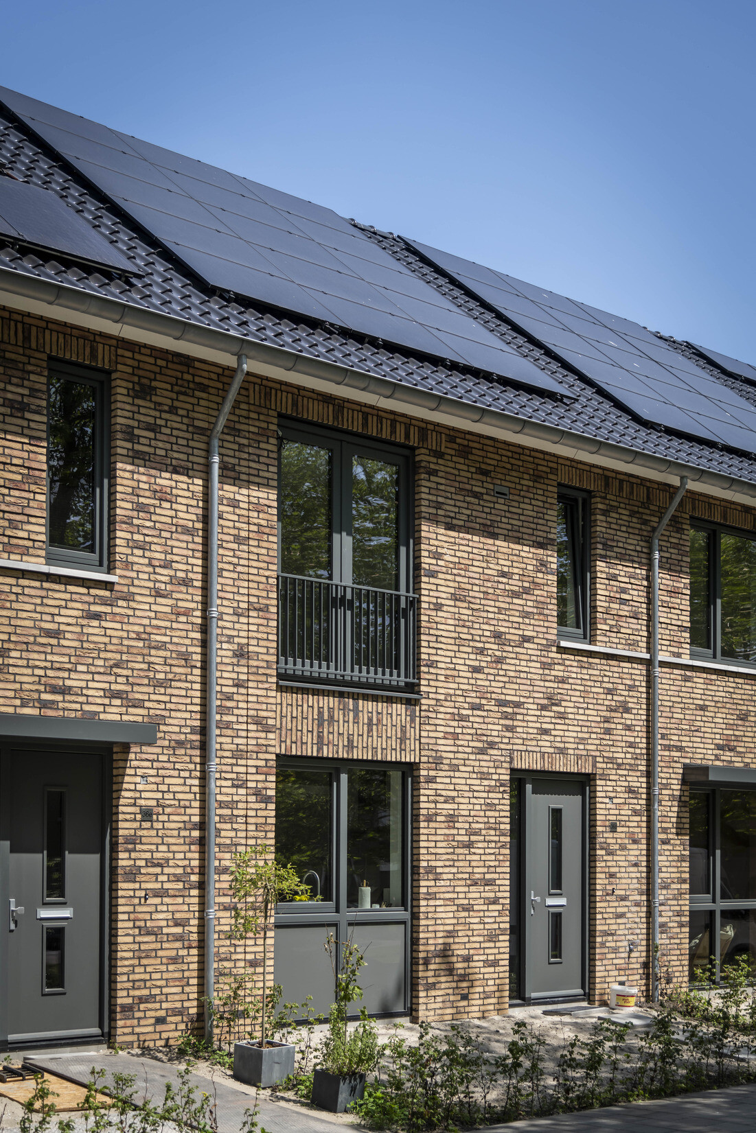 Zn Plataan  Berkenwoude 4675