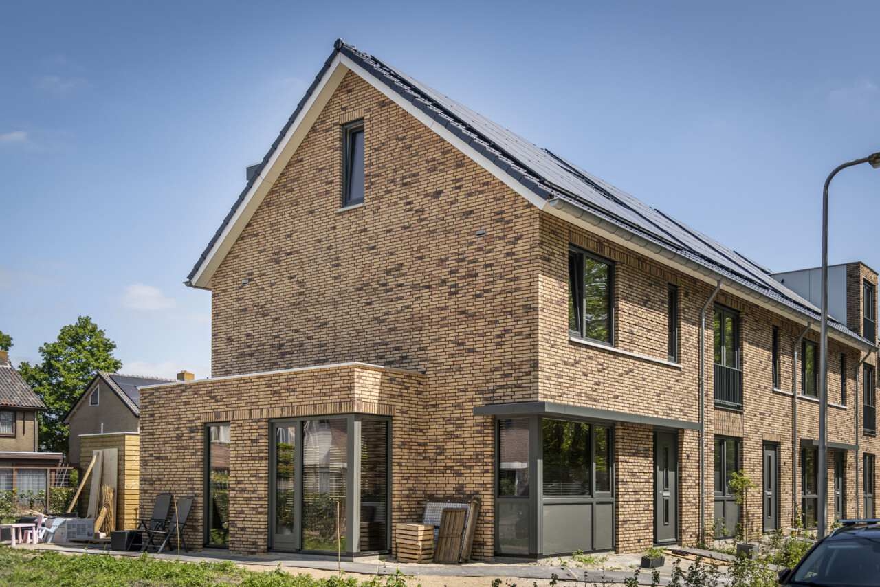 Zq Plataan  Berkenwoude 4684