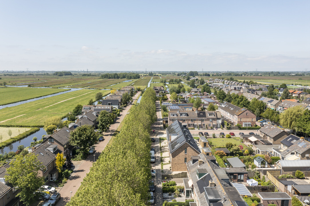 Zy Plataan  Berkenwoude 0637