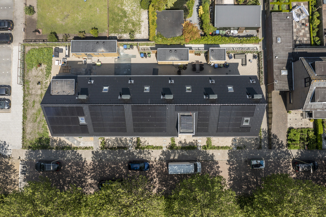 Zzb Plataan  Berkenwoude 0647